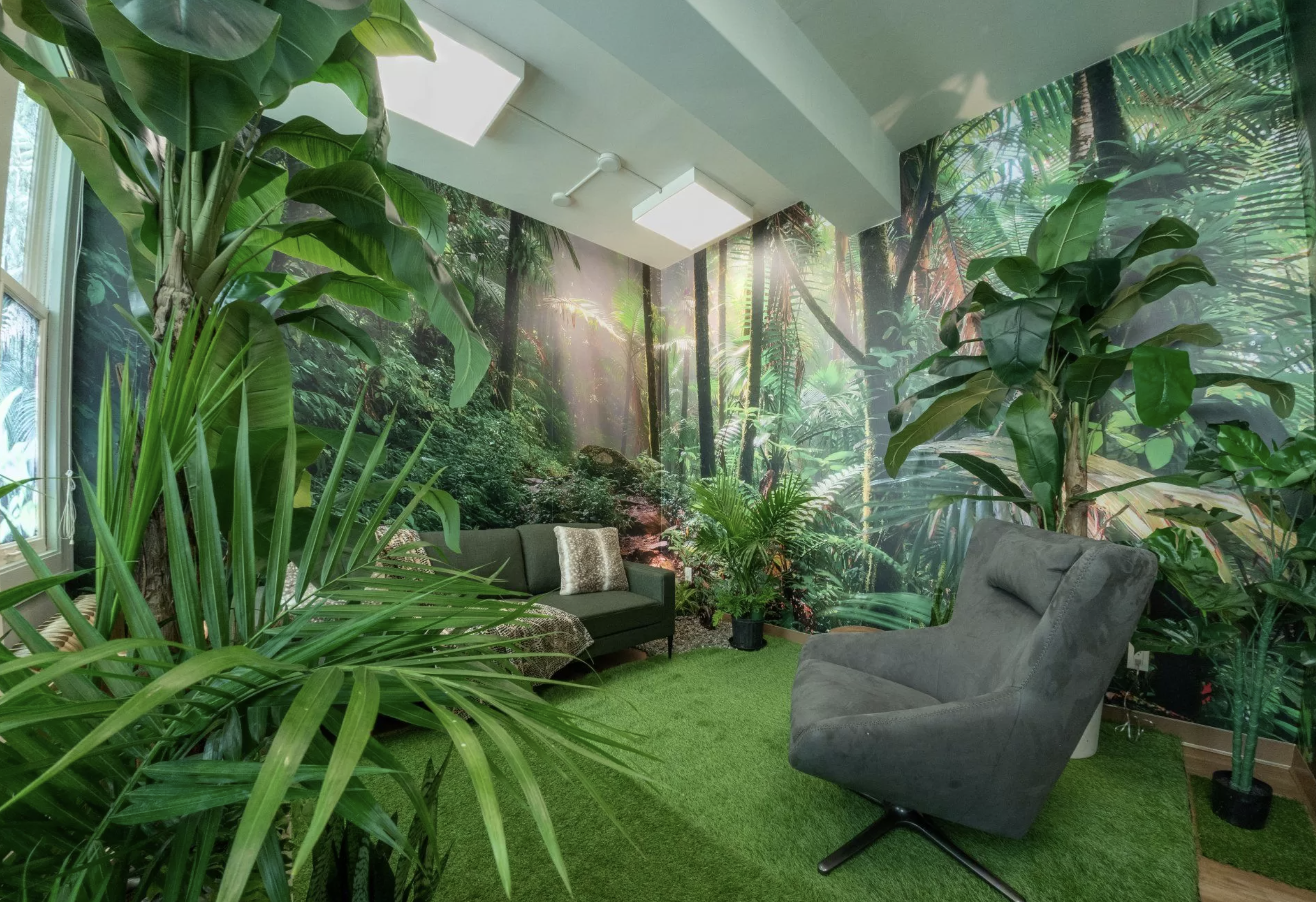 Counselling Room for Psychotherapy